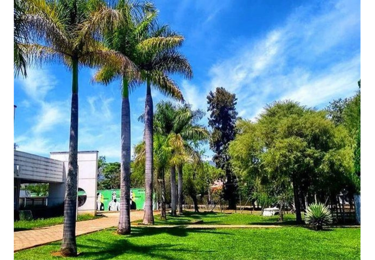 VENUE unifei webp (9)